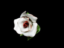 Aquincumi gyönyörű rózsa 