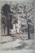 Komjáti-wanyerka Gyula's opening coat, 1894-1958, budapest: forest road etchings, size: 28cmx39,5cm