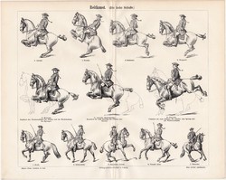 Lovaglás, lovaglóiskola, egyszín nyomat 1894, német nyelvű, eredeti, ló, állat, pezád, díjlovaglás 