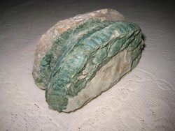 Fosszília , őslény  megkövesedett  nyomata   14 x 7 x 7  cm