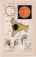 Szem, litográfia 1892, színes nyomat, német nyelvű, Brockhaus, anatómia, gyógyászat, ember, orvos