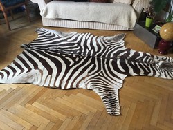 Eredeti afrikai zebrabőr szőnyeg, falidísz