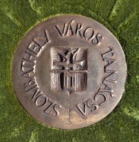 Kiss Sándor (1925-1999) Szombathely város tanácsa bronz plakett dobozában