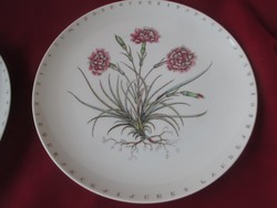 98. Kézzel festett Fürstenberg tányér 24,5 cm 