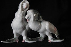 Porcelán kapicinus galambpár figura