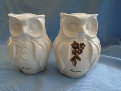 Couple of owls, by world-renowned artist rosa ljung, art dec
