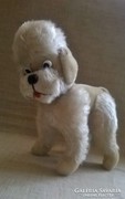 Old mohair poodle dog