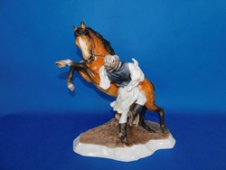 Herendi  hibátlan  Hortobágyi csikós MCD