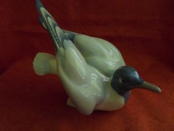 Germany porcelán madár figura