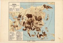 Ázsia állatföldrajzi térkép 1928, magyar nyelvű, 28 x 40 cm, állat, hal, madár, emlős, gerinces