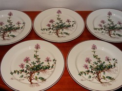 Villeroy&Boch Botanica mintájú tányérok