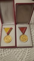  2 db Szocialista kitüntetés Honvédelmi érdemérem arany fokozat 10 és 15 
