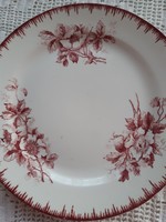 Fajansz sütis tányér-"Olga" dekor-Societe Ceramic