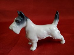 Metzler-Ortloff porcelán állatfigura kutya