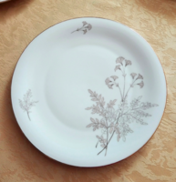 Hand-painted German porcelain plate with a special pattern, offering.
