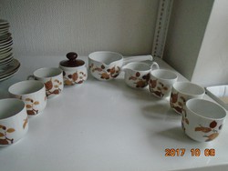 Mid-century coffee set with a typical design in the autumn atmosphere of Scherzer Bavaria