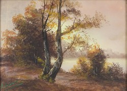 0Y333 With Valschics signature : Autumn landscape