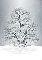 Moira risen: winter is approaching - north will not forget. Contemporary, signed fine art print, snowy landscape tree
