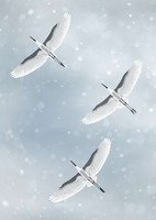Moira risen: winter is approaching - snowfall. Contemporary, signed fine art print, flying birds, blue sky white