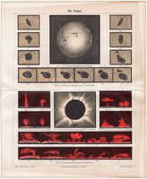 A Nap, litográfia 1888, színes nyomat, német nyelvű, eredeti, felszín, Naprendszer, csillagászat