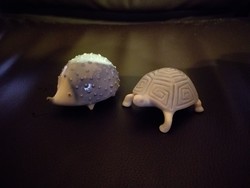 Aquincumi sün és teknős