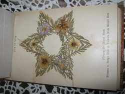 Régi préselt Jeruzsálemi virágok oliva fából készült borítóban