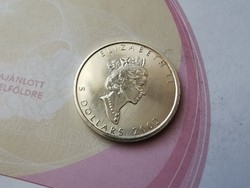 2002 Kanada Juhar ,festett ritka ezüst 31,1 gramm 0,999 R