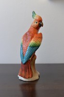 Sitzendorfi színes papagáj porcelán figura