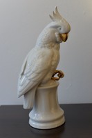 Tettau papagáj kakadú figura porcelán