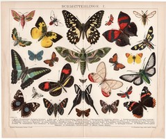 Pillangók I., litográfia 1894, német nyelvű, színes nyomat, Brockhaus, lepke, pillangó, állat, régi