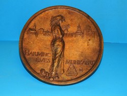 Szeged 20 cm-es bronz plakett Lapis András