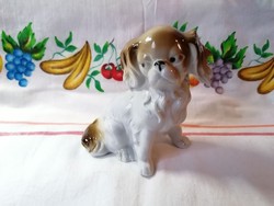 Aranyos Foreign porcelán pincsi kutya