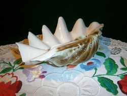 Hollóházi porcelán nagy méretű kagyló nagyon szép állapotban