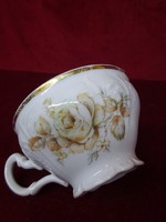 BERDADOTTE cseh porcelán minőségi teáscsésze, rózsa mintával. Vanneki!