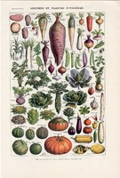 Zöldségek, nyomat 1923 (2), francia, 19 x 29 cm, lexikon, eredeti, növény, zöldség, répa, burgonya