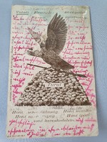 Turul madaras régi képeslap levelezőlap