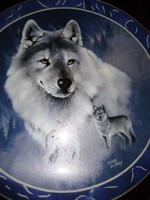 Porcelán különleges Bradex tányér 19,5cm