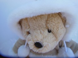 Plüss - Douglas maci - nagy - 28 x 23 cm - kapucnis kabátban