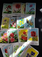 Virág kvartett-Retró kártyjáték