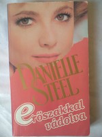 Danielle Steel: Accused of Violence Romance Novel Recommend!