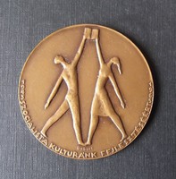 Mihály Dabóczi (daboci): 1945-1965 medal for the development of our socialist culture