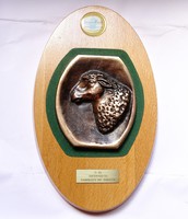 Farmer's Expo 2003, sheep breeding ii. Award bronze plaque.