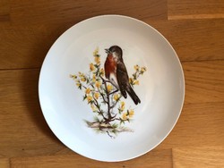 Ritka madaras Luisenburg - Bavaria porcelán tányér