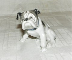 Bulldog kutya figura Metzler & Ortloff porcelán