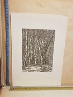 Varga Nándor Lajos: Tavaszi erdő, fametszet, 1950, méret jelezve