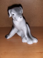 Régi porcelán kutya figura 14 cm (po-1)