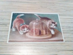 Antik cicás képeslap.