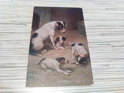Antik kutyusos képeslap.