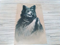 Antik dombornyomott kutyusos képeslap.