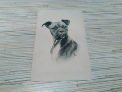 Antik kutyusos képeslap.